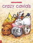 Crazy cavia's 1 Crazy cavia's