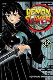 Demon Slayer: Kimetsu no Yaiba 12 Volume 12