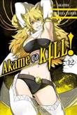 Akame ga KILL! 12 Volume 12