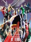 DC Icons Justice League - Vrijheid en Gerechtigheid 2