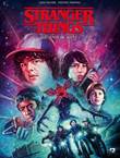 Stranger Things (DDB) 2 De andere kant 2/2