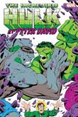 Incredible Hulk, the - By Peter David 2 Vol. 2