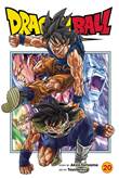 Dragon Ball Super 20 Volume 20