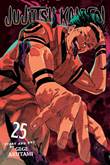 Jujutsu Kaisen 25 Volume 25