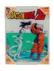  Dragon Ball Z Glass Poster - Freeza (30 x 40 cm)