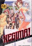 Negima! 12 Volume 12