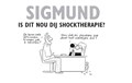 Grunneger Stripreeks 3 - Sigmund: is dit nou dij shocktherapie?