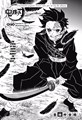 Demon Slayer: Kimetsu no Yaiba 3 - Volume 3