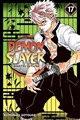 Demon Slayer: Kimetsu no Yaiba 17 - Volume 17