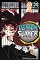 Demon Slayer: Kimetsu no Yaiba 20 - Volume 20