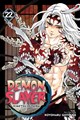 Demon Slayer: Kimetsu no Yaiba 22 - Volume 22