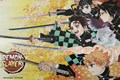 Demon Slayer: Kimetsu no Yaiba  - Demon Slayer: Kimetsu no Yaiba - Empty Box + mini book and poster