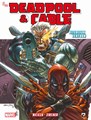 Deadpool & Cable (DDB) 2 - Uiterlijk vertoon 2/2