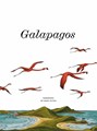 Michaël Olbrechts  - Galapagos