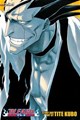 Bleach (3-in-1 edition) 5 - Volumes 13-14-15