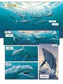 Megalodon  - Megalodon