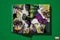 Marvel Comics Library  - Hulk 1962–1966
