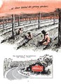 Ginseng Roots  - Ginseng Roots: A Memoir