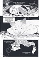 Warrior Cats - Tijgerster en Sascha (Manga) 3 - Terug naar de Clans