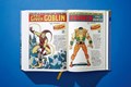 Marvel Comics Library  - Spider-Man. Vol. 1. 1962–1964