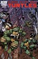 Teenage Mutant Ninja Turtles (2011-2024)  - Annual 2012