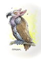 Jan Bosschaert - Collectie  - Vreemde vogels