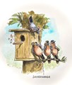 Jan Bosschaert - Collectie  - Vreemde vogels