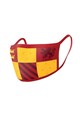 Harry Potter Face Masks 2-Pack - Gryffindor