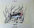 Le Tresor Rackham le rouge - 7