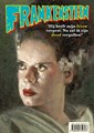 Pulpman 17 - Pulpman nr 17, Softcover, Pulpman - formaat 24x17 (Xtra)