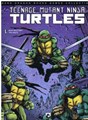 Teenage Mutant Ninja Turtles (DDB) 1 - Verandering is constant 1/2, Softcover (Dark Dragon Books)