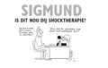 Grunneger Stripreeks 3 - Sigmund: Is dit nou dij shocktherapie?, Hardcover+prent, Eerste druk (2015) (Stripwinkel Akim)