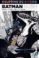 Coloring DC  - Batman Hush vol. 1, Softcover (DC Comics)