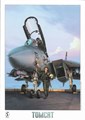 Tomcat  - Tomcat, Hardcover + prent (Silvester Strips)