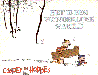 Casper en Hobbes - Big Balloon 11 - Het is een wondere wereld