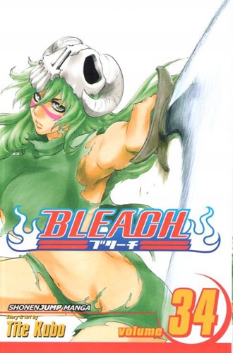 Bleach (Viz) 34 - Volume 34