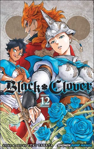 Black Clover 12 - Volume 12