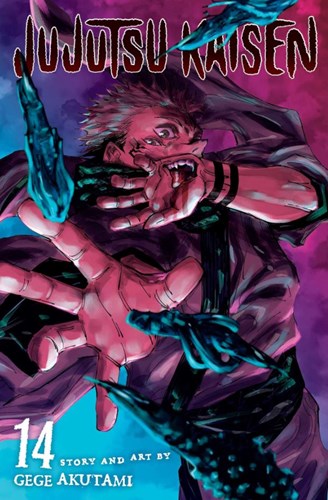 Jujutsu Kaisen 14 - Volume 14