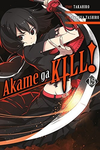 Akame ga KILL! 13 - Volume 13