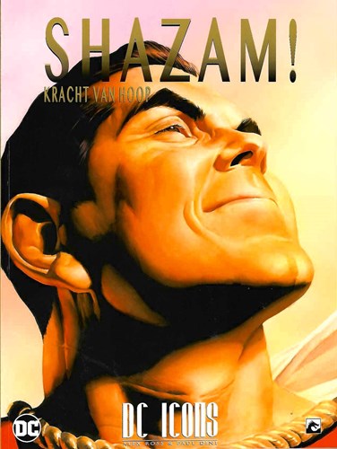 DC Icons 4 - Shazam!: Kracht van hoop