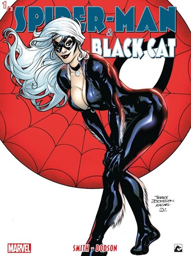 Spider-Man and the Black Cat 1 - Deel 1