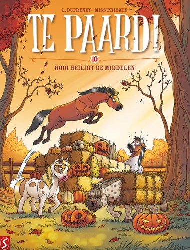 Te paard! 10 - Hooi heiligt de diddelen