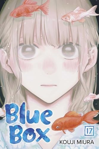 Blue Box 17 - Volume 17