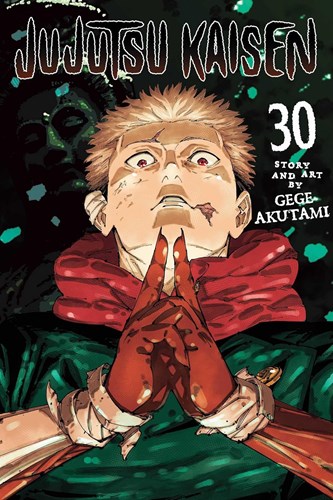 Jujutsu Kaisen 30 - Volume 30
