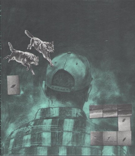 Ward Zwart - Collectie  - Wolven, Hardcover, Eerste druk (2016) (Bries)