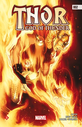 Thor (Standaard Uitgeverij) 2 - Thor - God of Thunder, Softcover (Standaard Uitgeverij)