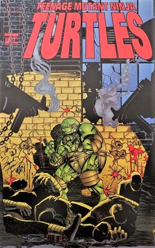 Teenage Mutant Ninja Turtles (1996-1999) 12 - #12, Issue (Image Comics)